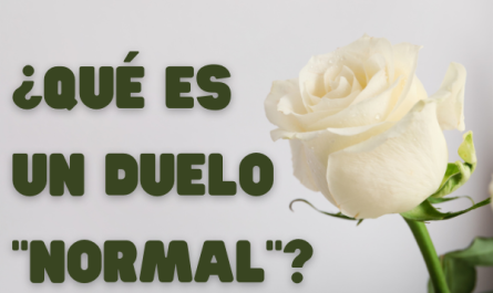 ¿QUÉ ES UN DUELO "NORMAL"?