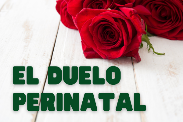 DUELO PERINATAL: UNA FORMA CONMOVEDORA DE DUELO