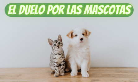 CÓMO SUPERAR EL DUELO LA MUERTE DE UNA MASCOTA PERRO O GATO