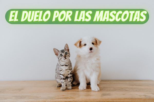 CÓMO SUPERAR EL DUELO LA MUERTE DE UNA MASCOTA PERRO O GATO